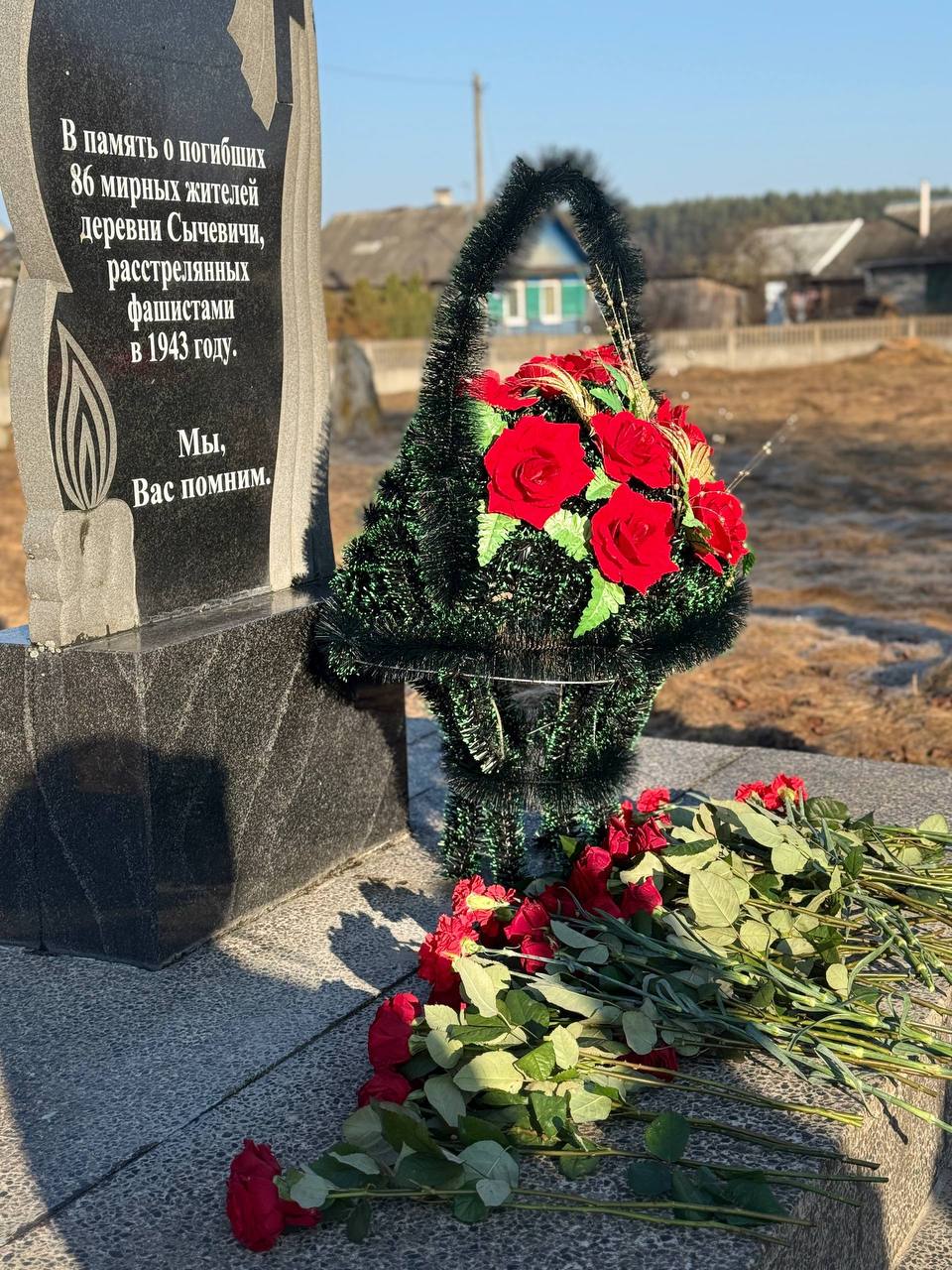 photo 2026 03 23 14 05 52